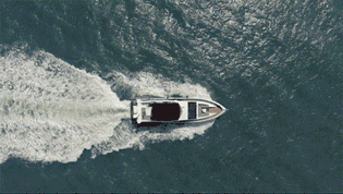 3.gif